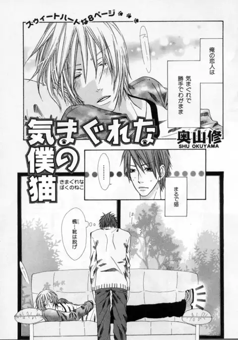 b-BOY Phoenix Vol.4 Seikantai Tokushuu