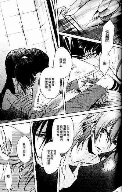 RAGDOLL | 破碎玩偶