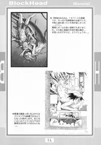 (C56) [Deisui Oukoku (Maruto!)] BH