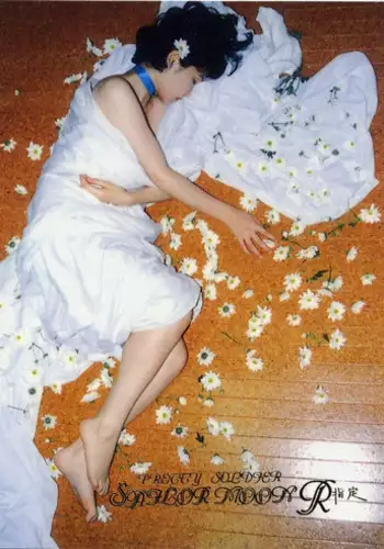 Pretty Soldier Sailor Moon R Shitei