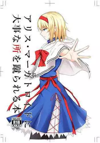 Alice Margatroid ni Daiji na Tokoro o Kerareru Hon