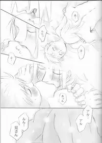 [Nenone-ya (Nenone Miya)] Taion (Fullmetal Alchemist)