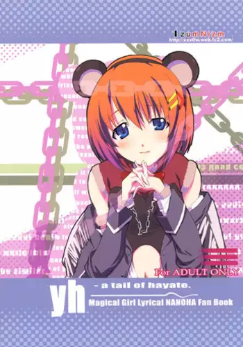 [IzumuNizm (Noshi)] yh - a tail of hayate. (Mahou Shoujo Lyrical Nanoha Strikers) [English] [EHCove]