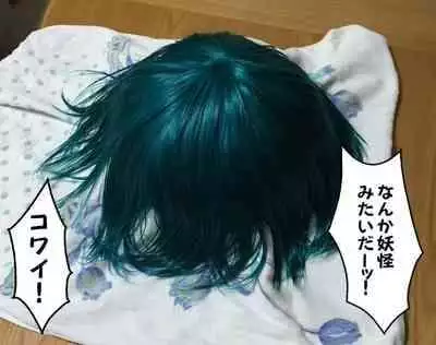 [Hydden World (Various)] CJD Gensoukyou (Touhou Project) [Digital]