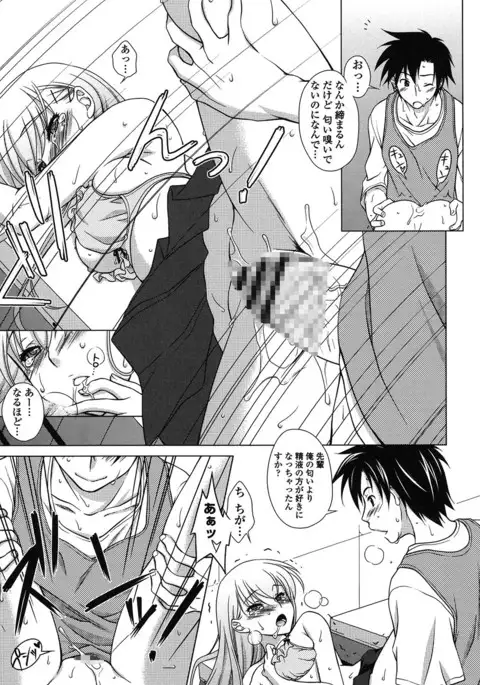 Seiso de Midarana Kanojo