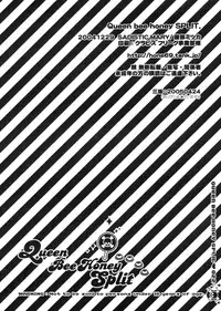 (C67) [Sadistic Mary (Hattori Mitsuka)] Queen Bee Honey Split (Bleach)