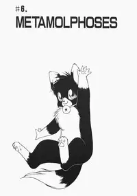 [Trump] Charm The Cat