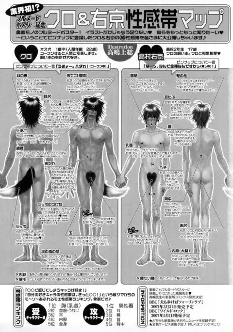 b-BOY Phoenix Vol.4 Seikantai Tokushuu