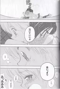 (SC27) [Moe Moe Cafe (Shitto)] honotan ll - Max Heart (Futari wa Precure)