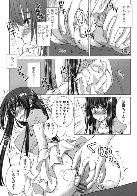 Seiso de Midarana Kanojo