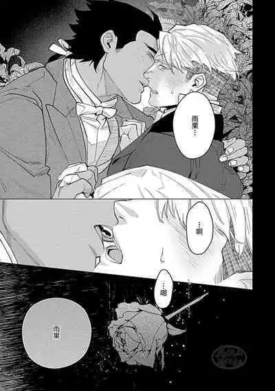 Hoshikuzu no Debutante | 玫瑰香的命定之星