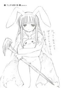 [観月堂] 電撃ラグナ (RO)