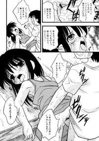 [yeahhhy tomii] Meconopsis