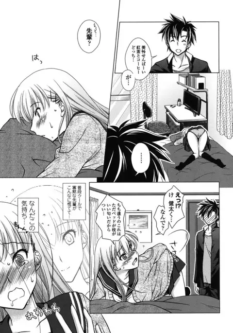 Seiso de Midarana Kanojo