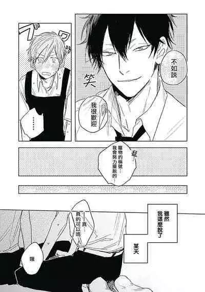 Like a Sugar | 爱似甜点 Ch. 1-4