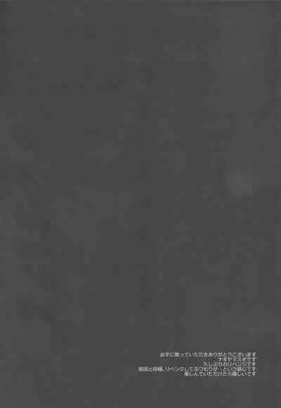 (C97) [Nagiyamasugi (Nagiyama)] Touhou Revenge 2 Alice (Touhou Project)