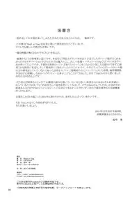 (C81) [LeimkissA (Nekohane Ryou)] Maid or Dog (Touhou Project)