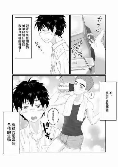 [Pyutaro] Nii-chan wa Nikubenki [Chinese] [糖分超标汉化] [Digital]