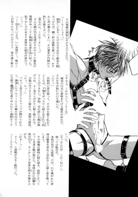 b-BOY Phoenix Vol.4 Seikantai Tokushuu