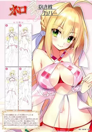 Youfuto Dakimakura Gashuu 1