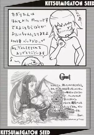 Ketsu Megaton Seed 【零食汉化组】