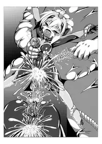 [ULTRA ONE (Zest)] Himenoyoumasekkususho