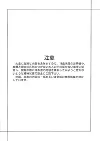 (C61) [P.A. Project (Teruki Kuma)] Youshoku