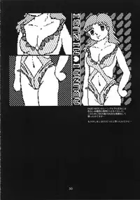 (C55) [GADGET (A-10)] DRAGONQUEST INFERNO (Dragon Quest)