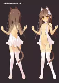Neko Neko Note 4b
