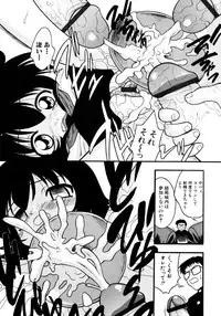 [yeahhhy tomii] Meconopsis