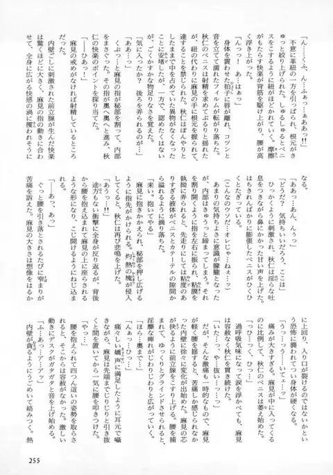 b-BOY Phoenix Vol.4 Seikantai Tokushuu