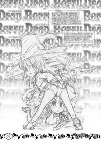 (Reitaisai 7) [RiceCandy (Okome, Sakakibara Kaorunaoko)] Berry Drop (Touhou Project)