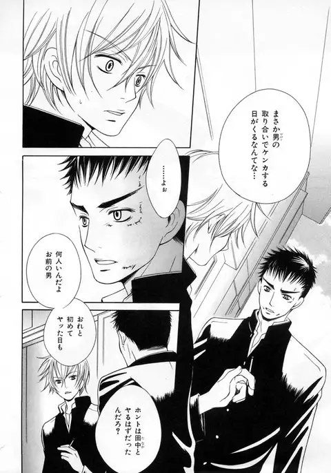 b-BOY Phoenix Vol.4 Seikantai Tokushuu