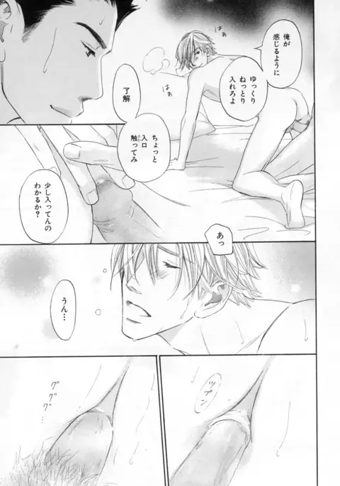 b-BOY Phoenix Vol.4 Seikantai Tokushuu