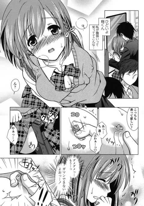 Seiso de Midarana Kanojo