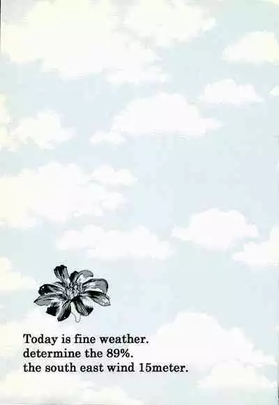 Heliotrope |日光菊