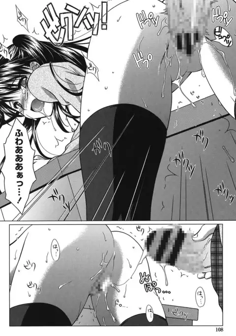 Seiso de Midarana Kanojo