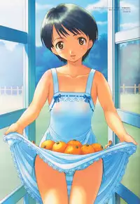 SECRET LOVERS ～MINASHIKA WORKS OFFICIAL EDITION～