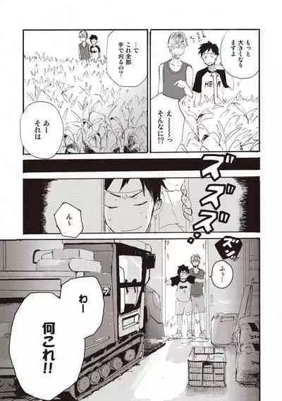 Hatomugi Batake de Tsukamaete - The Catcher in the Hato