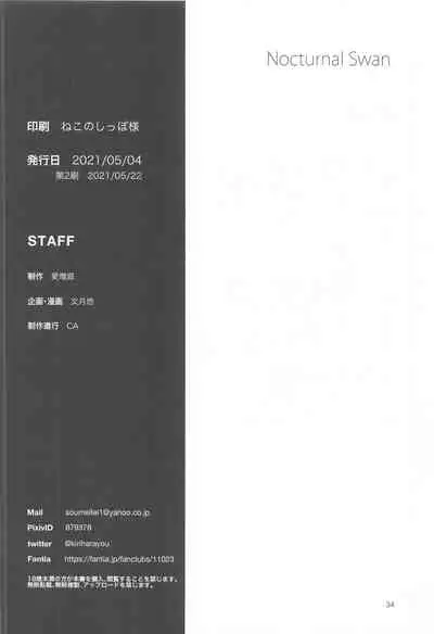 Nocturnal Swan | 月光下的白天鹅