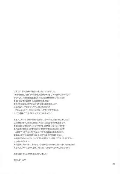 (C95) [Ika] Santa-san ni Onegai! (PriPara)