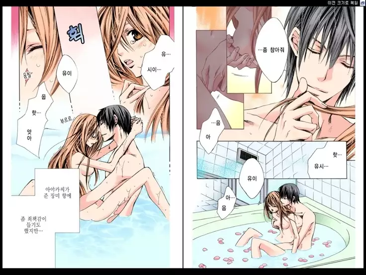 Naisho no Love Mariage | 비밀의 결혼