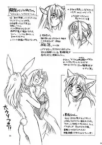 [ネコミミ団(.30-06)] CAZA MAYOR 2