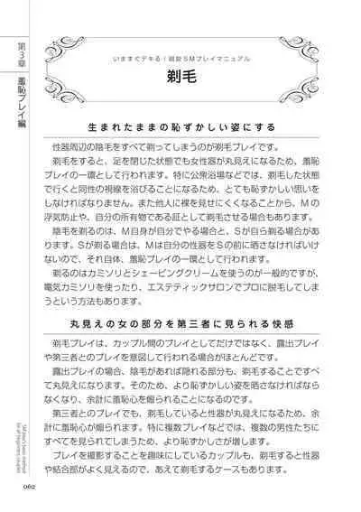 いますぐデキる 図説SMプレイマニュアル