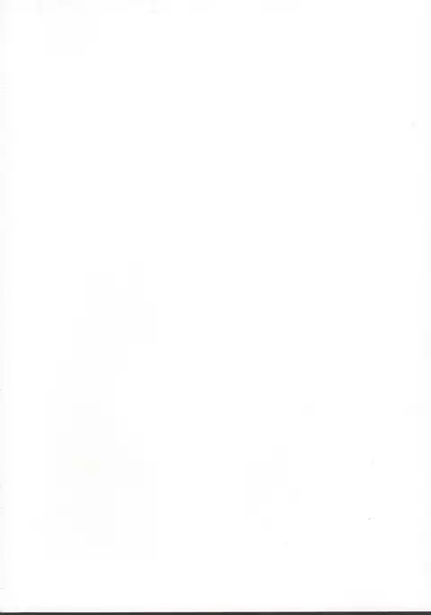 さんさんサニェ!