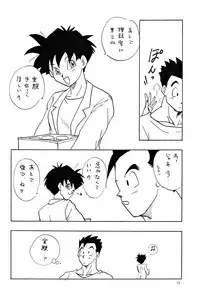 (C47) [Chirigami Goya, Fusuma Goten (Shouji Haruzo)] YY (Dragon Ball Z)