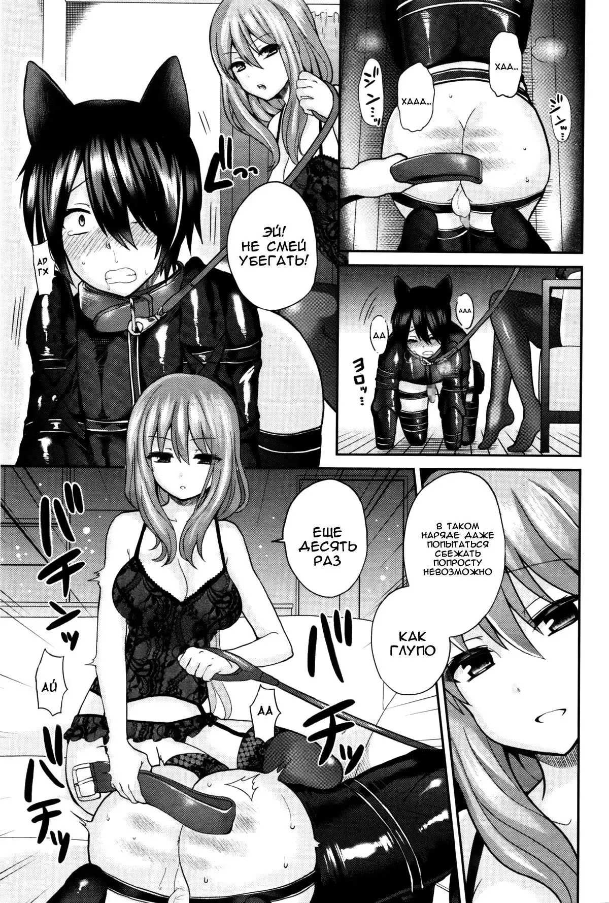 Domestic Dog | Домашняя Собаука