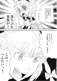 (C74) [Shoujo Zukin (Hatomugi Munmun)] Marecollect (Touhou Project)