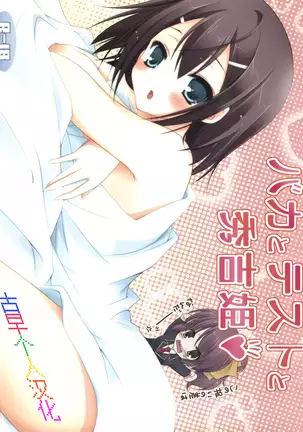 Baka to Test to Hideyoshi Hime