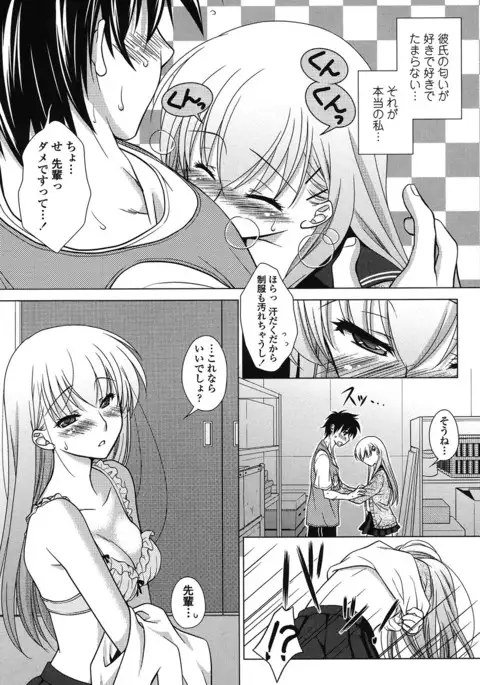 Seiso de Midarana Kanojo